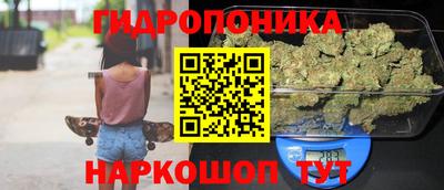 Альфа ПВП Кандалакша