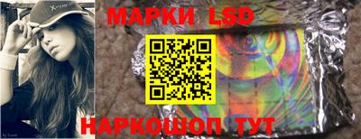Альфа ПВП Кандалакша