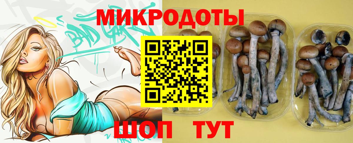 Галлюциногенные грибы MAGIC MUSHROOMS Реж