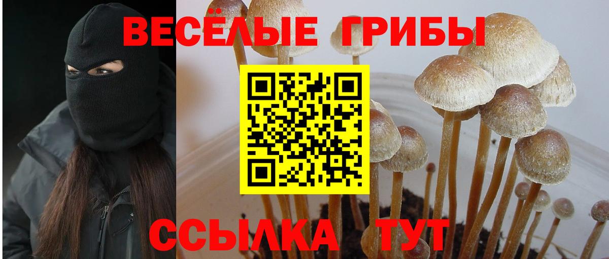 Галлюциногенные грибы прущие грибы  Вход с VPN  Реж  Псилоцибиновые грибы MAGIC MUSHROOMS 